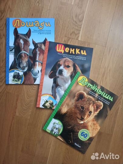 Серия книжек-раскрасок 