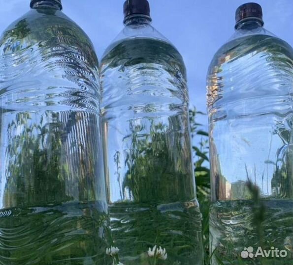 Пихтовое масло