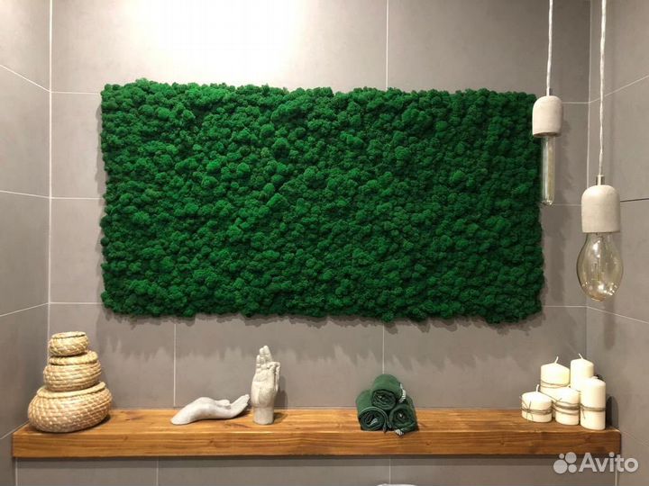 Озеленение стабилизированным мхом и растениями