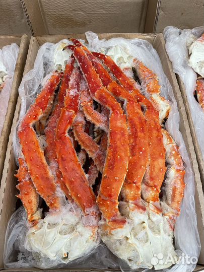 Клешни камчатского краба