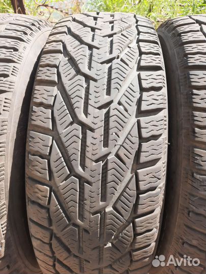 Tigar Winter 195/60 R15