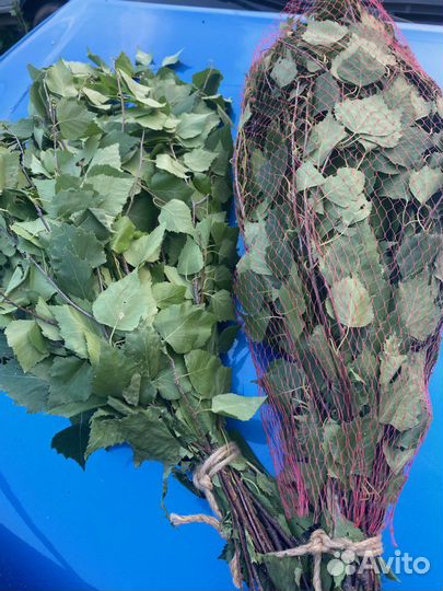 Веники березовые для бани