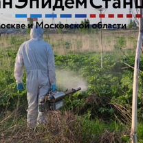 Уничтожение борщевика, Красноармейск