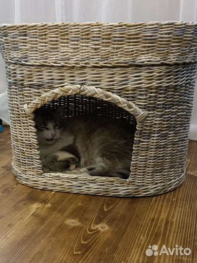 Домик для кошки плетеный