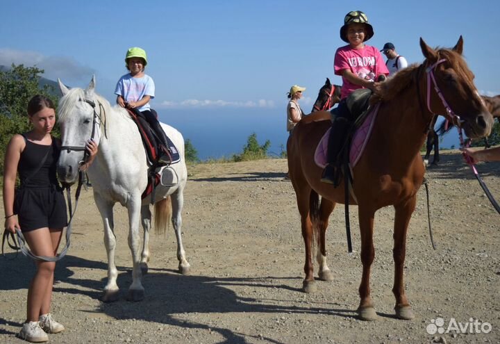 Конные прогулки над Гурзуфом