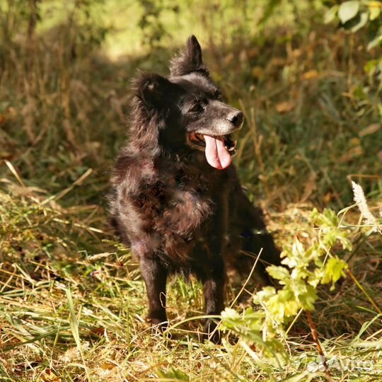 Взрослая Буся из приюта