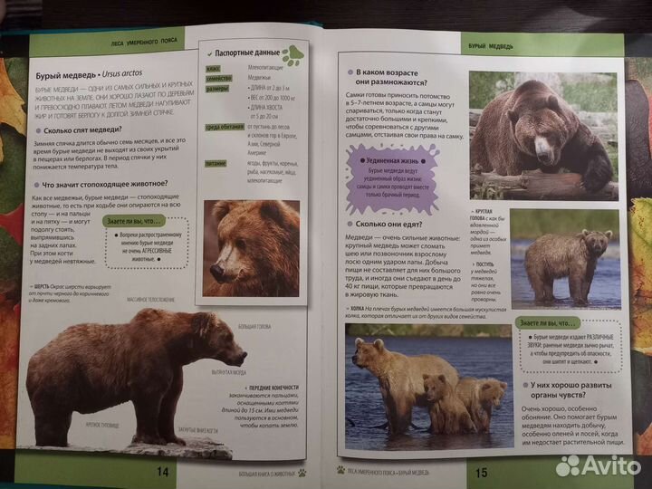 Энциклопедия про животных
