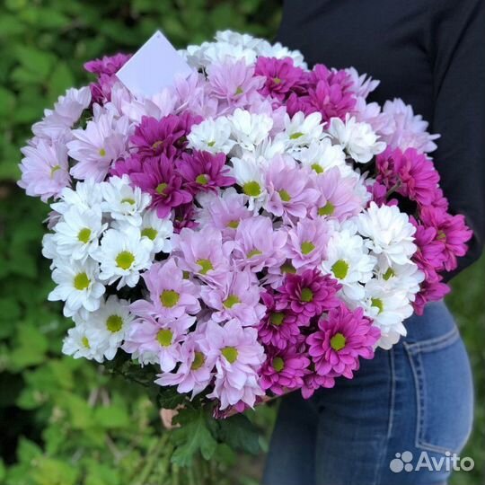 15 кустовых хризантем