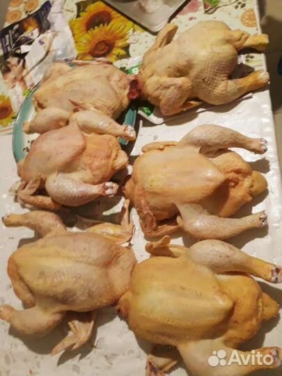 Мясо домашнего бройлера