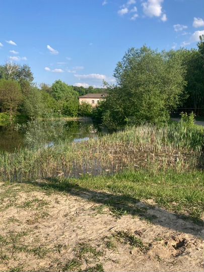 Участок 1,29 га (ИЖС)