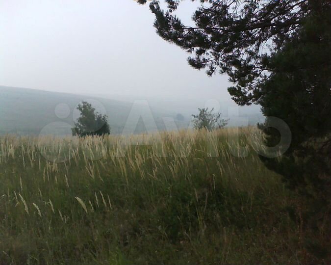 Участок 5,6 га (СНТ, ДНП)