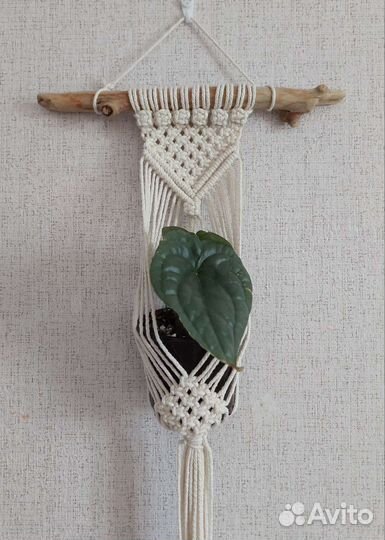 Настенное кашпо подвесное макраме для цветов