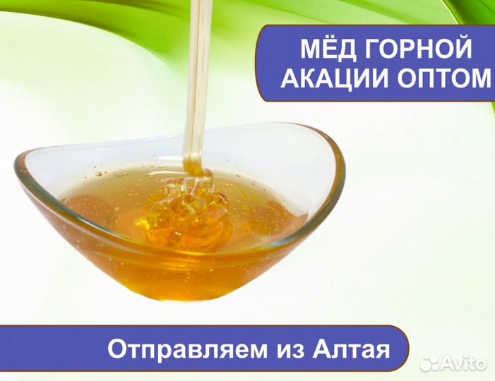 Свежий натуральный мёд 2024 года (опт)