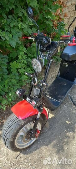 White Siberia /сity-coco