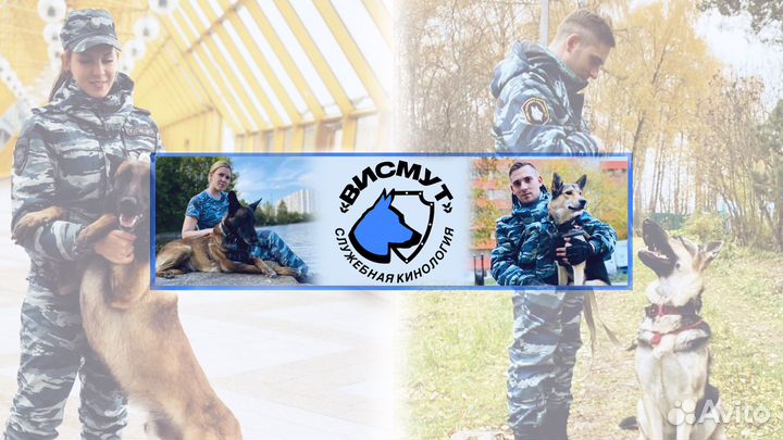 Дрессировка собак Бутово, Потапово, Гавриково