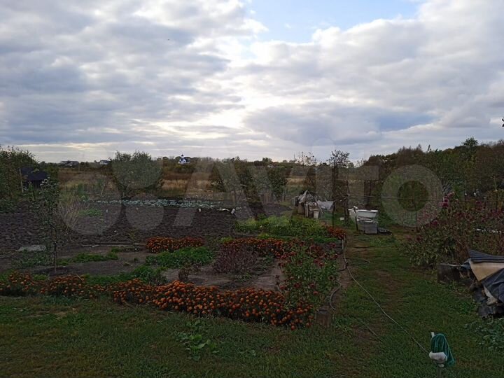 Дом 55,9 м² на участке 43 сот.