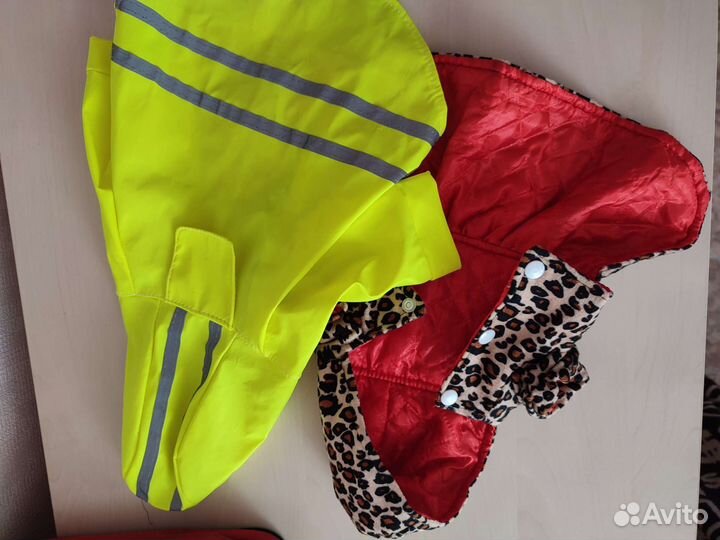 Одежда для собак