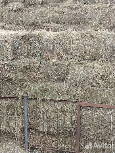 Сено луговое в тюках