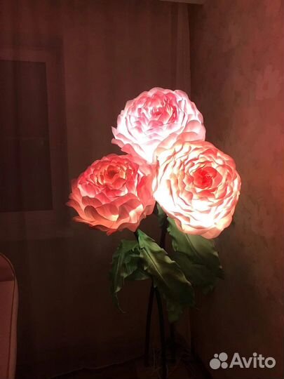 Ростовые цветы
