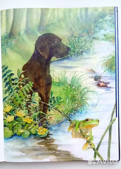 Детская книга 