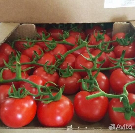 Овощи с доставкой