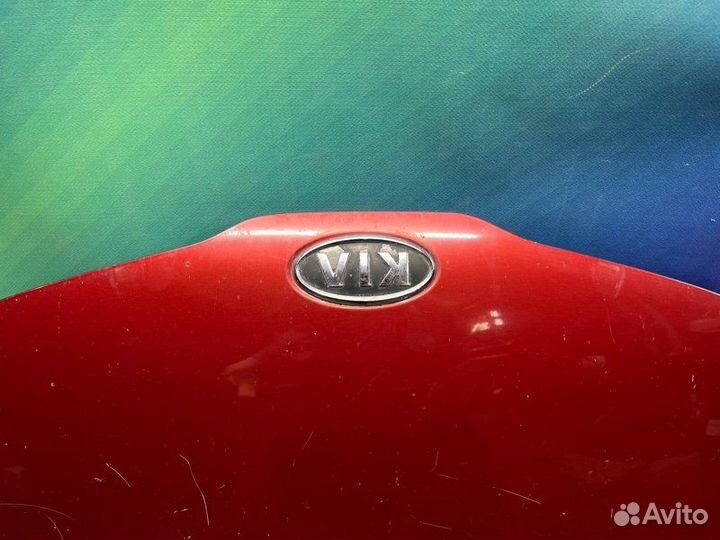 Капот Kia Rio