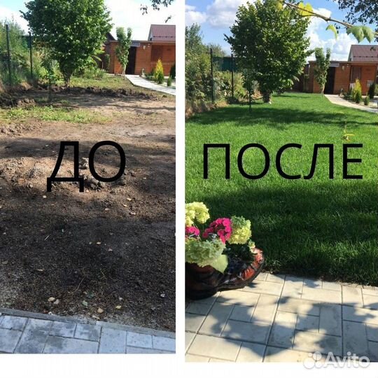 Рулонный газон по всей Москве