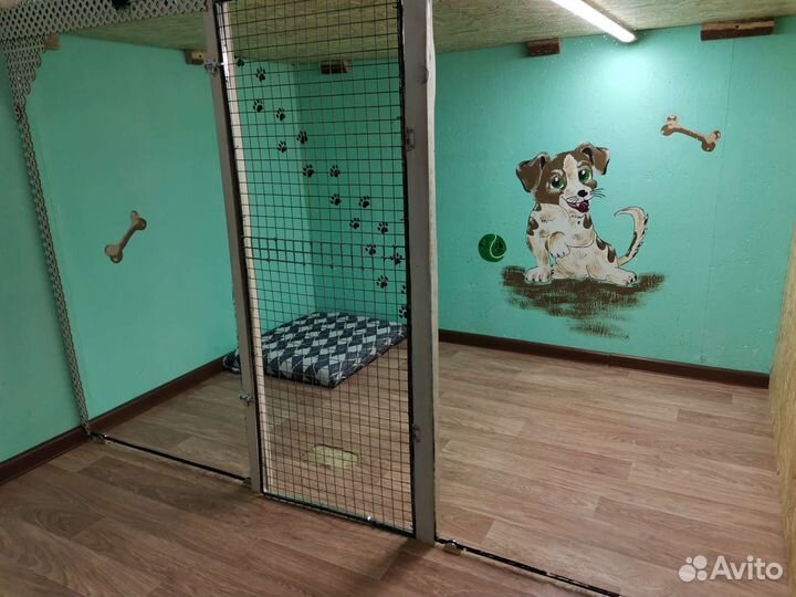 Передержка животных