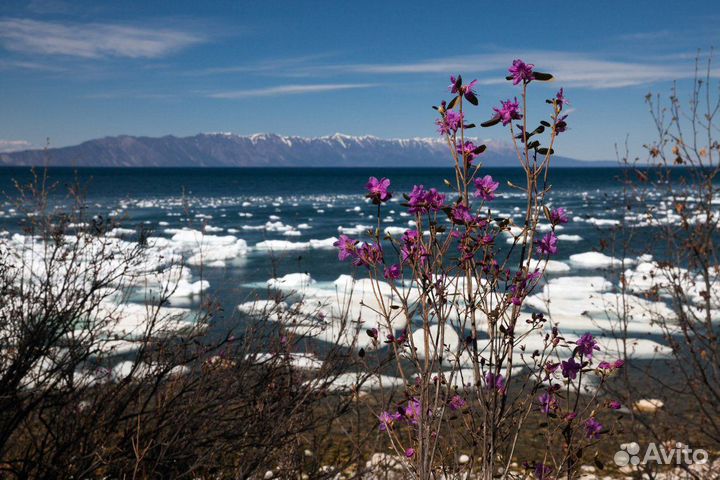 Индивидуальный и групповой тур по Байкалу