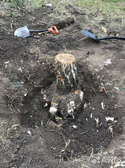 Корчевание пней