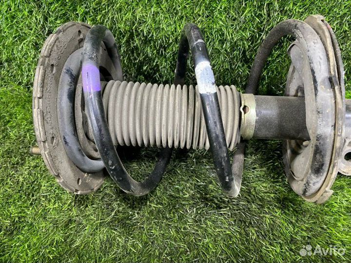 Стойка передняя правая Nissan Teana J31