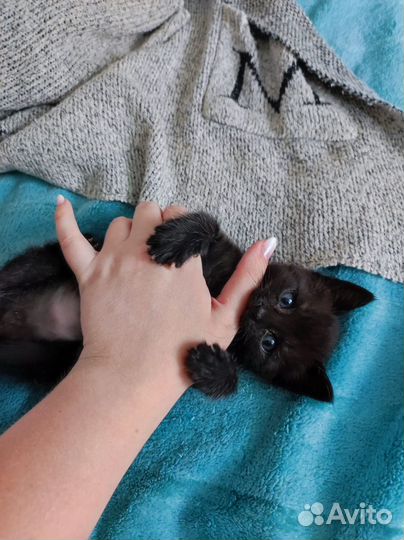 Мальчик ищет дом