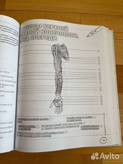 Атлас-расскраска Билич, Зигалова