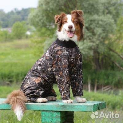 Комбинезон для собак из ткани Алова