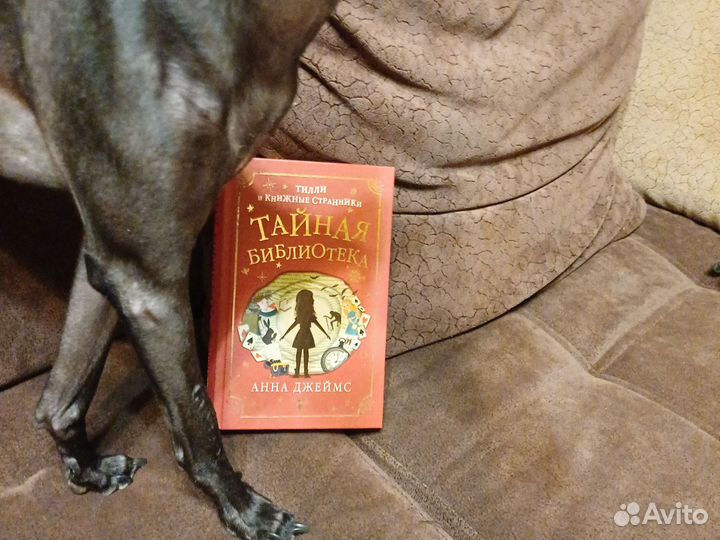 Книги на лето. Скарлет и Айви Софи Клеверли