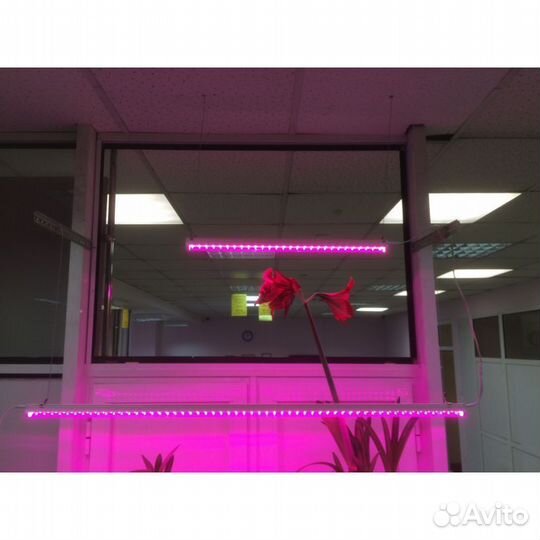 PPG T8i- 600 Agro 8w IP20 Jazzway (для растений