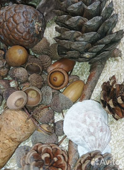 Поделки из природного материала