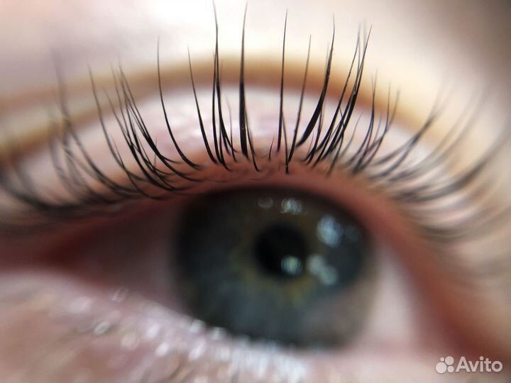 Педикюр smart/kart и Ламинирование Ресниц Inlei