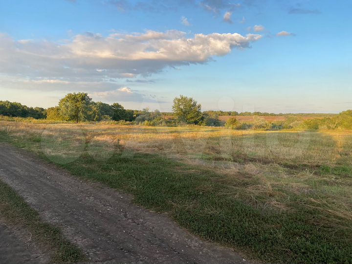 Участок 100 сот. (СНТ, ДНП)