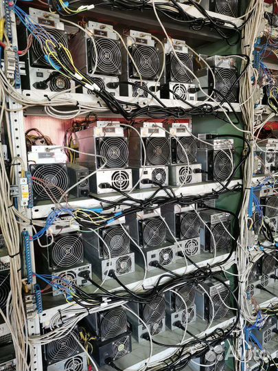 Размещение риг, асиков, майнинг отель, датацентр