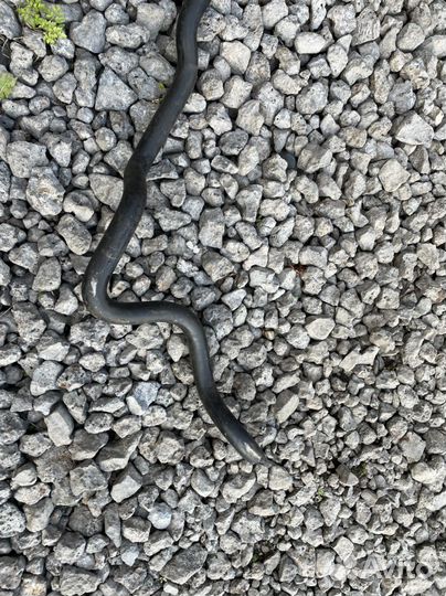 Стабилизатор передний M-TEX BMW e39