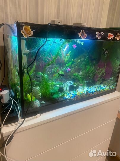 Аквариум 45-50 литров