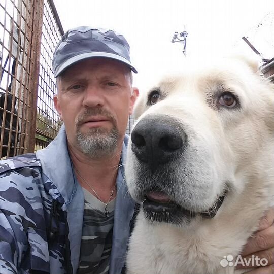 Контролер охранник вахтёр