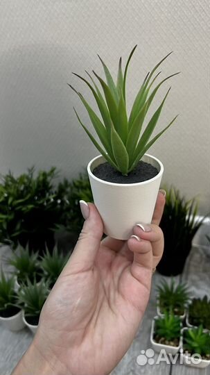 Декоративные растения искусственные