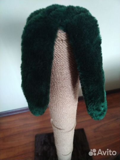 Когтеточка