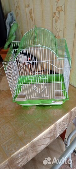 Клетка для волнистого попугая большая