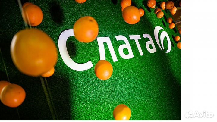 Продавец без кассы