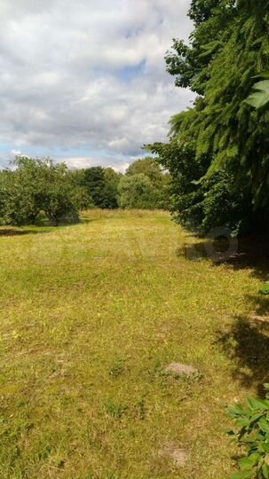 Участок 52 сот. (СНТ, ДНП)