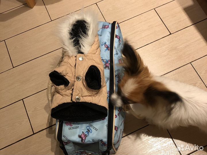 Продам курточку для собаки мелких пород