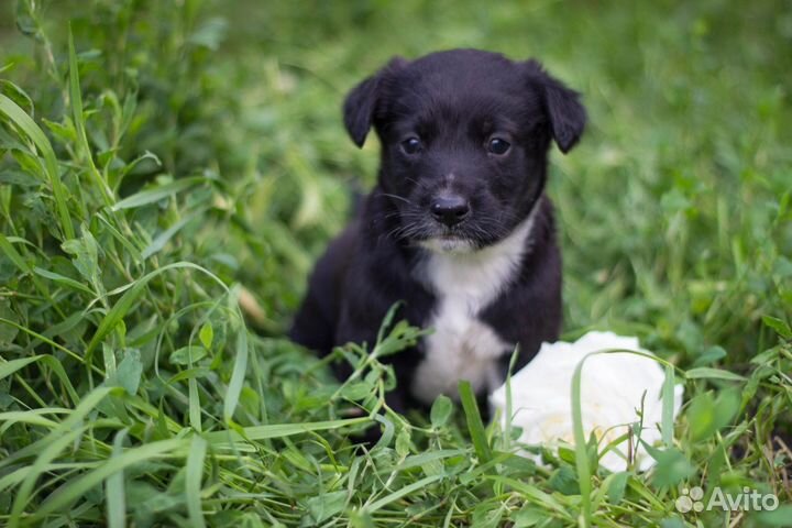 Малыш в добрые ручки